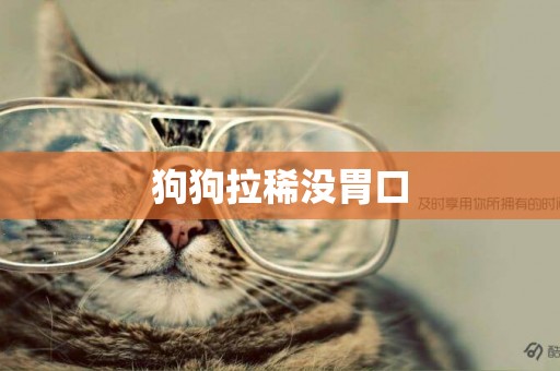 狗狗拉稀沒胃口