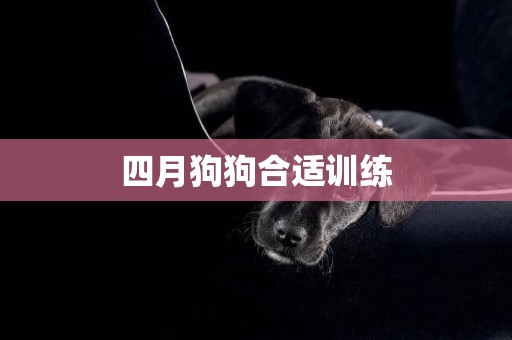 四月狗狗合適訓練