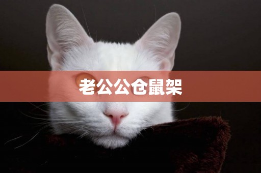 老公公倉鼠架