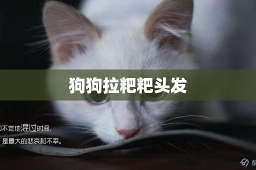 狗狗拉粑粑頭發