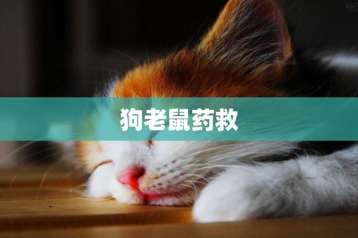 狗老鼠藥救