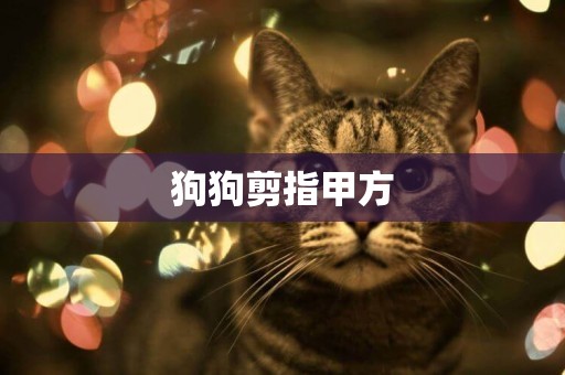 狗狗剪指甲方