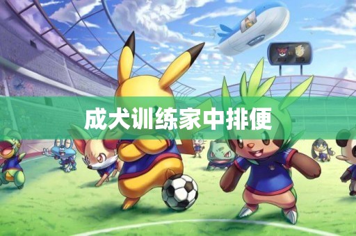 成犬訓練家中排便