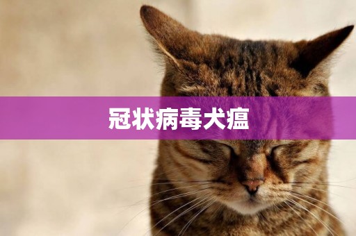 冠狀病毒犬瘟