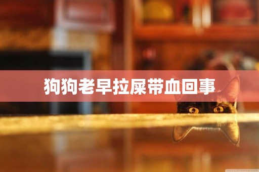 狗狗老早拉屎帶血回事