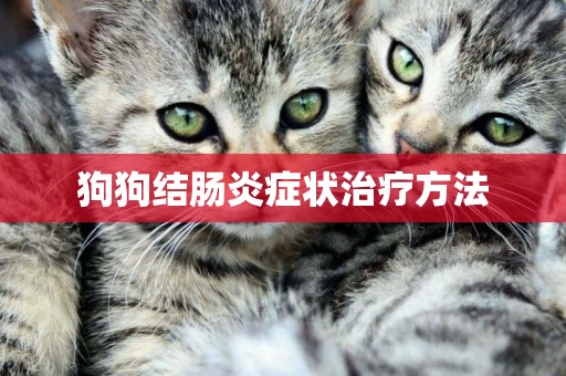 狗狗結腸炎癥狀治療方法