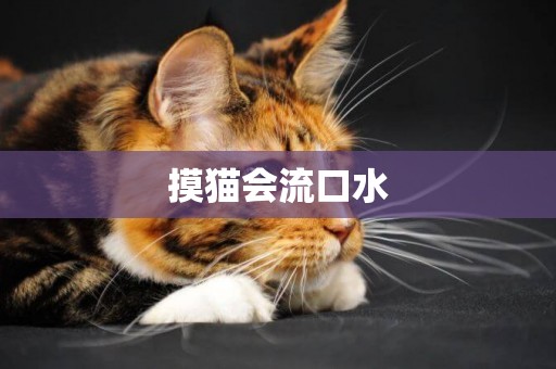 摸貓會流口水