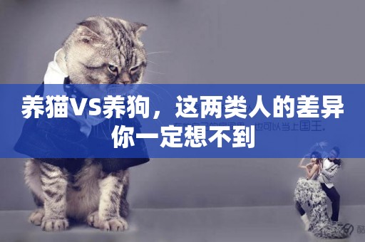 養貓VS養狗，這兩類人的差異你一定想不到