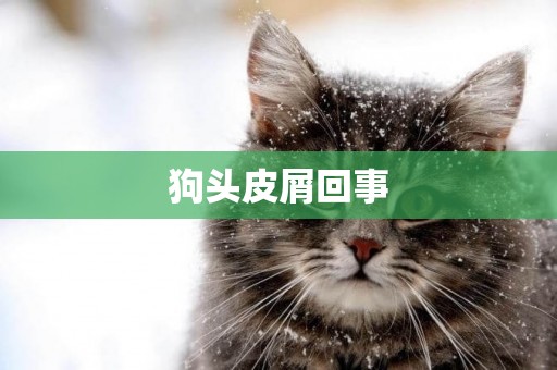 狗頭皮屑回事