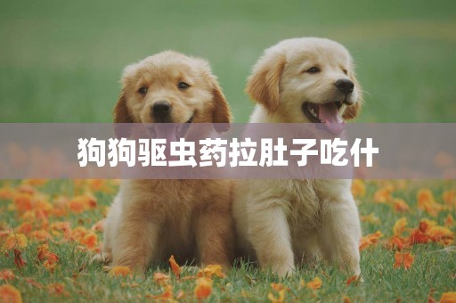 狗狗驅蟲藥拉肚子吃什