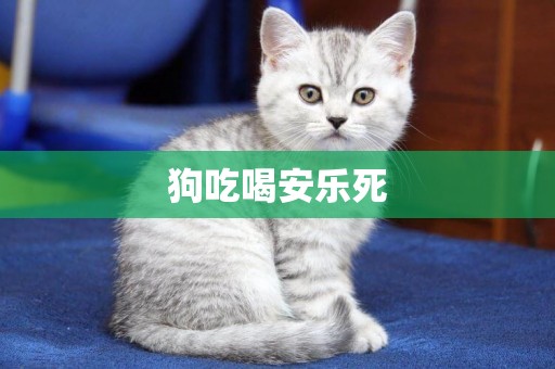 狗吃喝安樂死