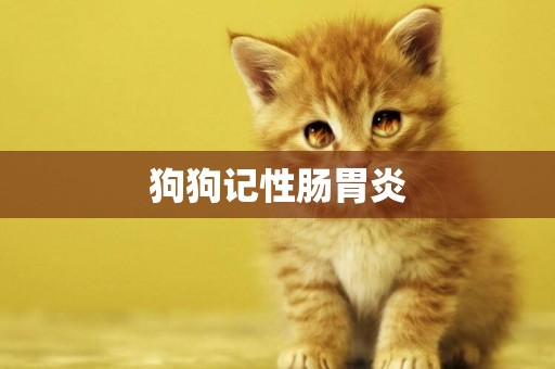 狗狗記性腸胃炎
