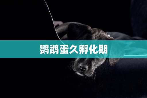 鸚鵡蛋久孵化期
