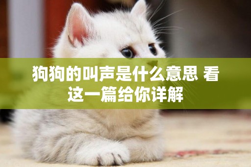狗狗的叫聲是什么意思 看這一篇給你詳解
