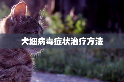 犬細病毒癥狀治療方法