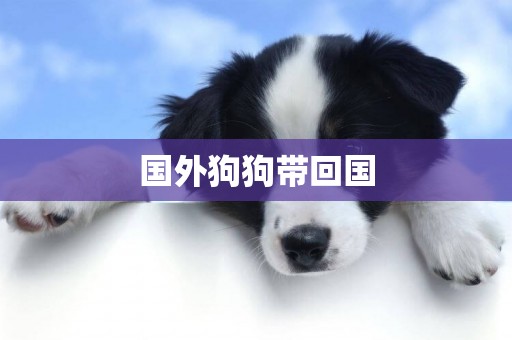 國外狗狗帶回國