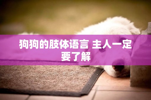 狗狗的肢體語言 主人一定要了解