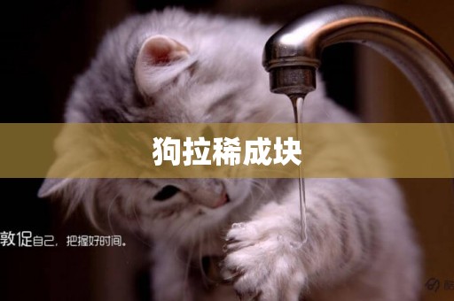 狗拉稀成塊