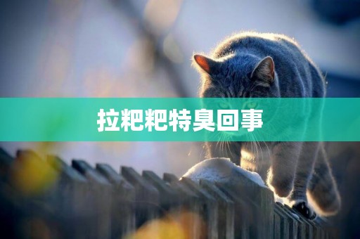 拉粑粑特臭回事