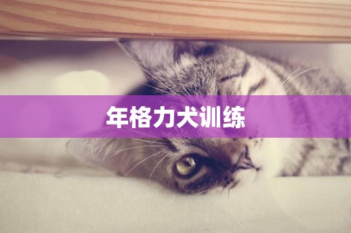 年格力犬訓練