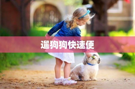 遛狗狗快速便
