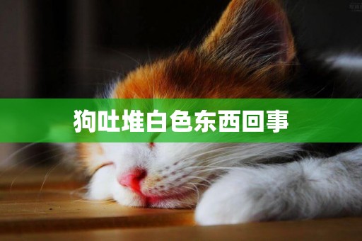 狗吐堆白色東西回事