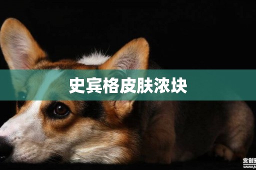 史賓格皮膚濃塊