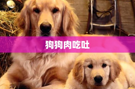 狗狗肉吃吐
