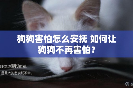 狗狗害怕怎么安撫 如何讓狗狗不再害怕？