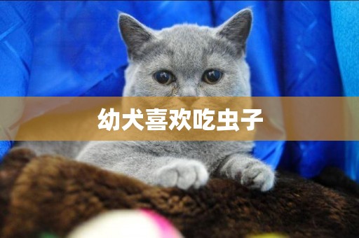幼犬喜歡吃蟲子