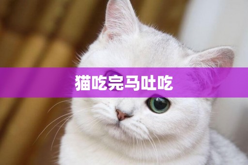 貓吃完馬吐吃