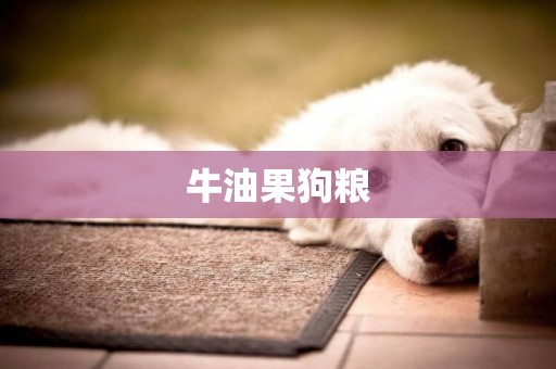 牛油果狗糧