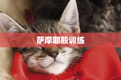 薩摩耶般訓練