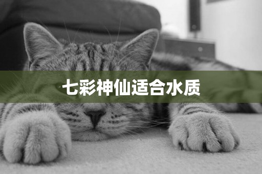 七彩神仙適合水質