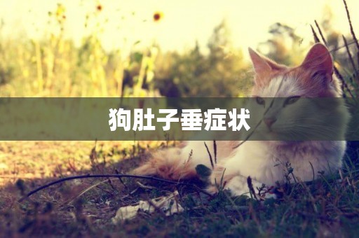 狗肚子垂癥狀