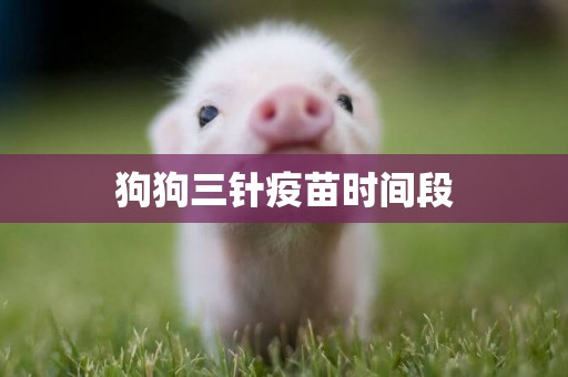 狗狗三針疫苗時間段