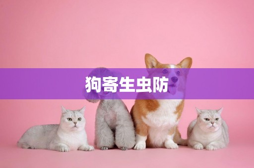 狗寄生蟲防