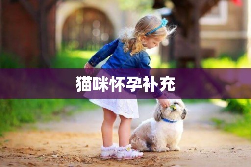 貓咪懷孕補充