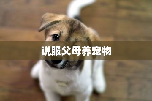 說服父母養寵物