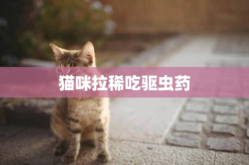 貓咪拉稀吃驅蟲藥