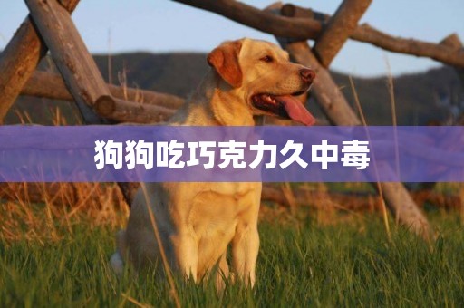 狗狗吃巧克力久中毒