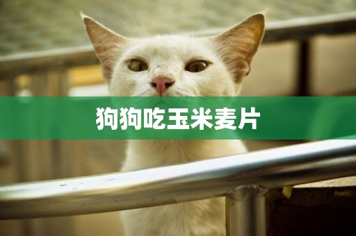 狗狗吃玉米麥片