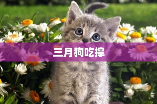 三月狗吃撐