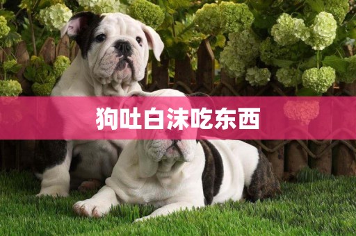 狗吐白沫吃東西