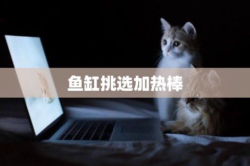 魚缸挑選加熱棒