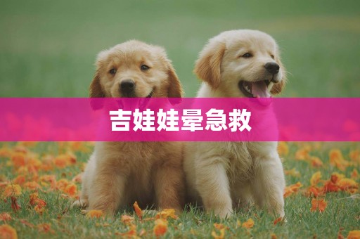 吉娃娃暈急救