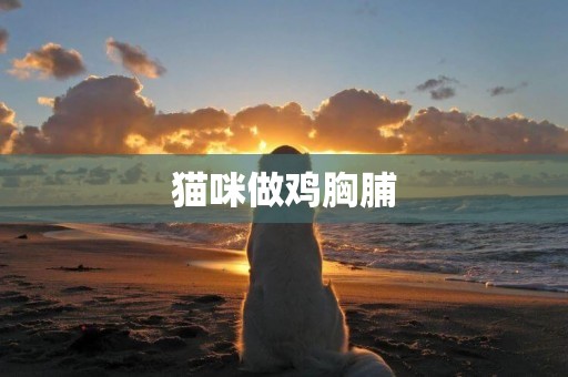 貓咪做雞胸脯