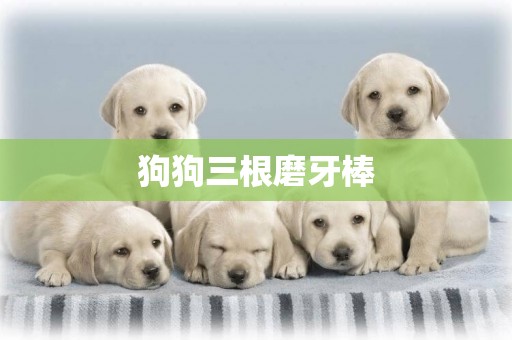 狗狗三根磨牙棒