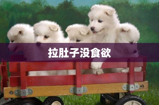 拉肚子沒食欲