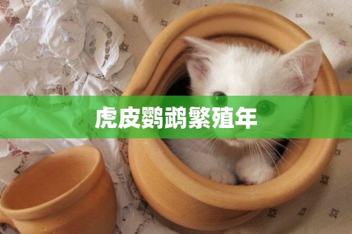 虎皮鸚鵡繁殖年